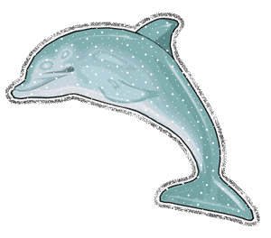 queen bee dolphin sticker for ios android giphy medium
