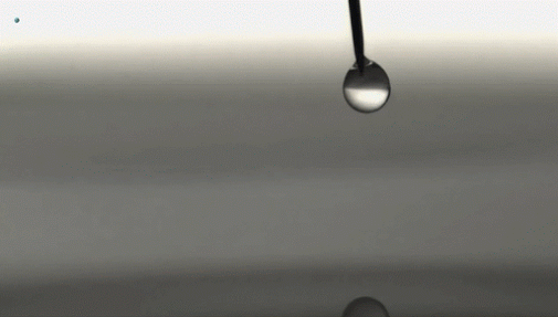 water droplet hat gifs find share on giphy medium
