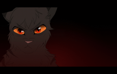 warrior cats images tagasta wallpaper and background photos medium