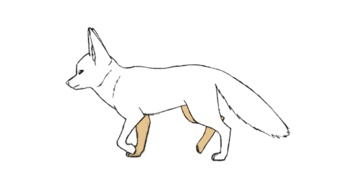 fox walking tumblr medium