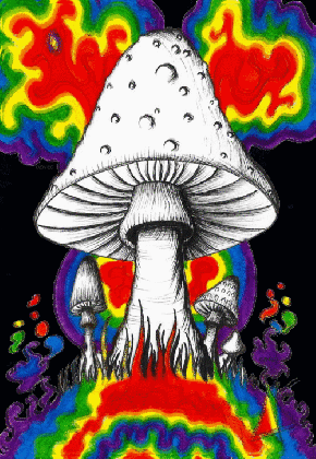 magic mushroom gif tumblr medium
