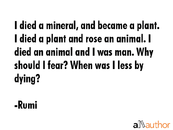 i died a mineral and became a plant i died quote medium