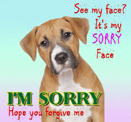sorry dog face www pixshark com images galleries with medium