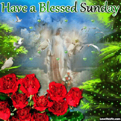 have a blessed sunday gif quote pictures photos and images for medium