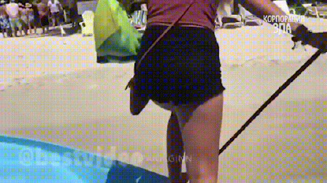 beached gifs find share on giphy medium