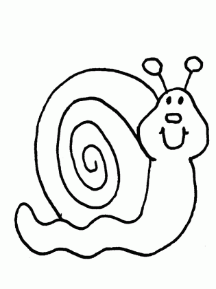 snail3 animals coloring pages coloring book medium
