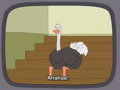 laughing ostrich gifs find share on giphy medium