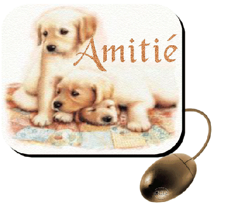 chiots texte amitie image animated gif medium