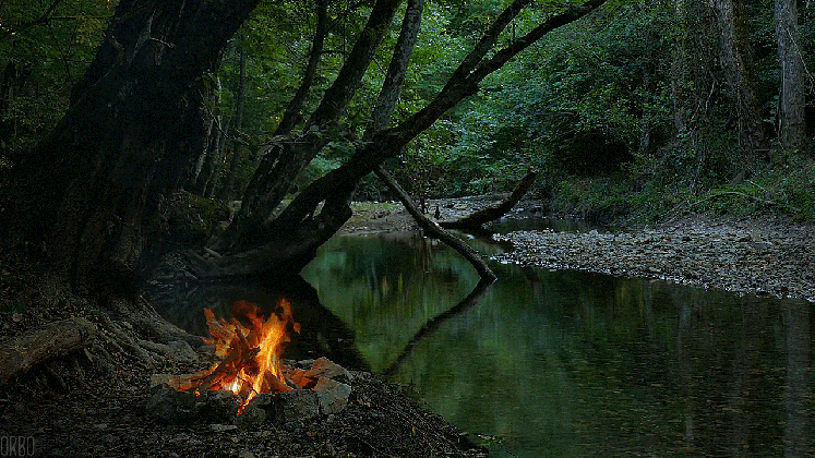 park national campfire gif shared by kerdred on gifer medium