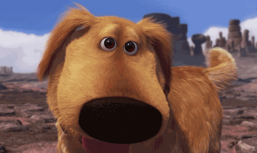 dog thank you gifs on giphy clip art library medium