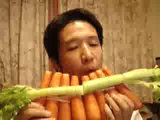 pan flute wtf gif by cheezburger find share on giphy medium