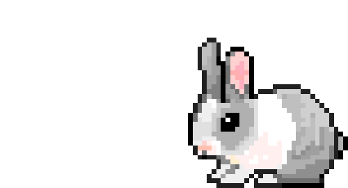 bunny jumping sticker for ios android giphy medium