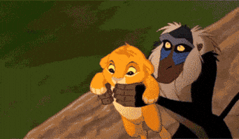 funny lion king gifs get the best gif on giphy medium