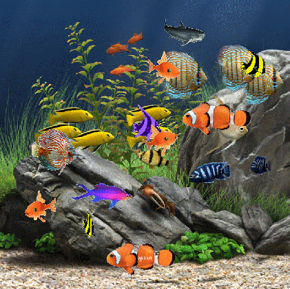 gifs aquarium page 3 gifs gratuits pjc medium