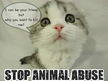 i m entertaining very hurtful thoughts toward animal abusers they medium