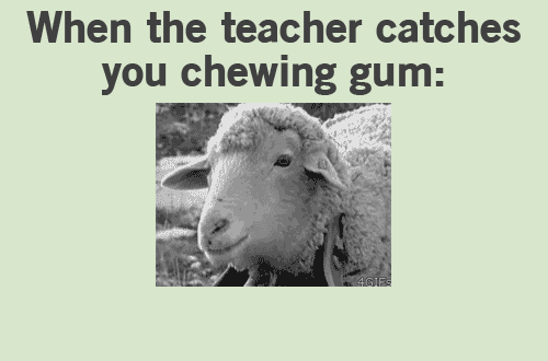 chewing gum eating gif find share on giphy medium