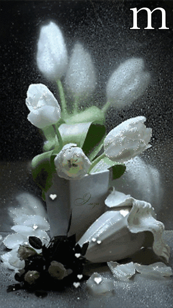 rosas blancas gif flores bellisimas pinterest gifs medium
