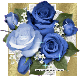 blue rose gifs get the best gif on giphy medium