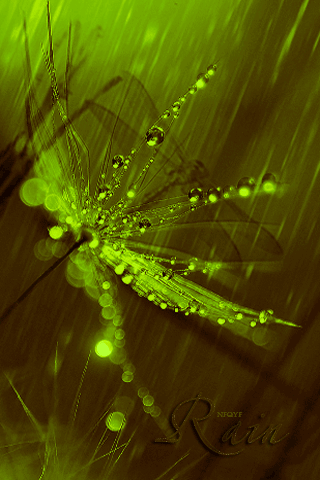 everything in one rain sparkles and a dragonfly so cool love this medium