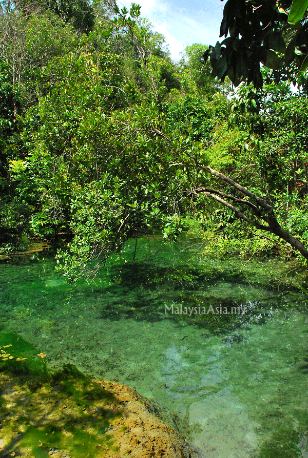 emerald pool in krabi thailand malaysia asia medium