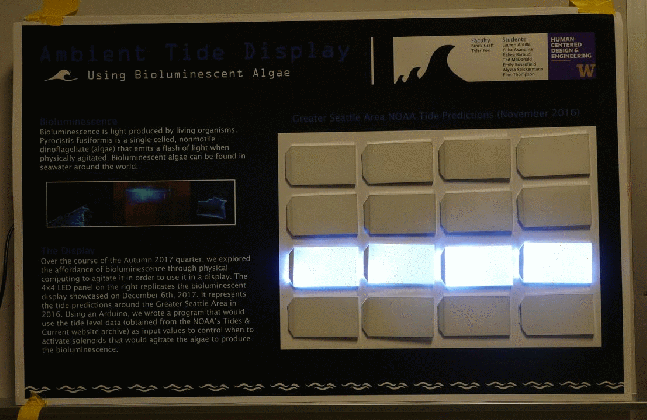 designing bioluminescent displays rabea baroudi medium