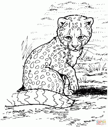 baby cheetahs coloring pages medium