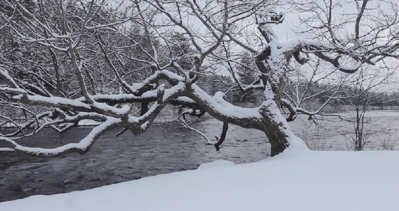 winter flowing gif find share on giphy medium