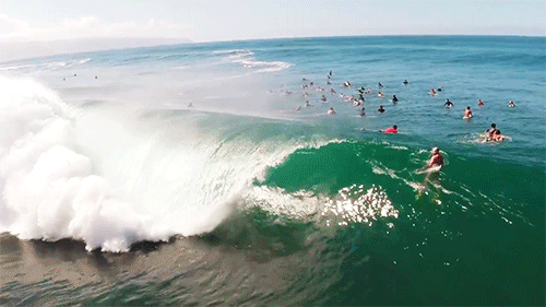 gif perfect surf ocean wave surfing pipe hawaii barrel surfer blow medium