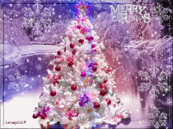 watch the white beauty of christmas in winter where we can browse medium