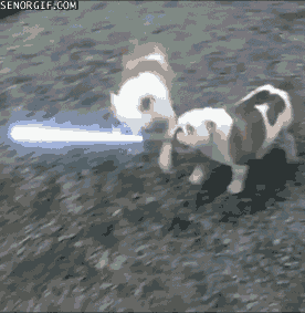 leaked footage from the new star wars movie se or gif funny gifs medium