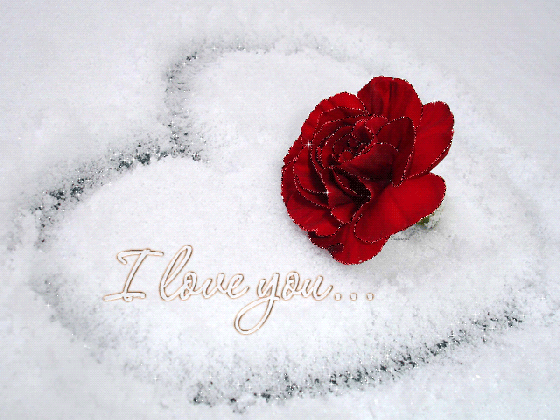 love roses are red tumblr com gif i love you quotes medium