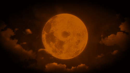 the full orange moon pictures photos and images for medium