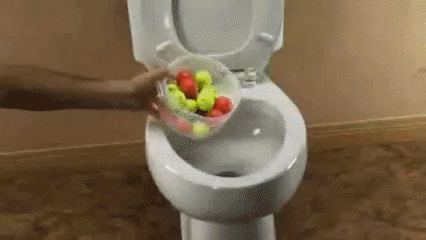 toilet golf ball gif find share on giphy medium