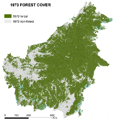 30 of borneo s rainforests destroyed since 1973 medium