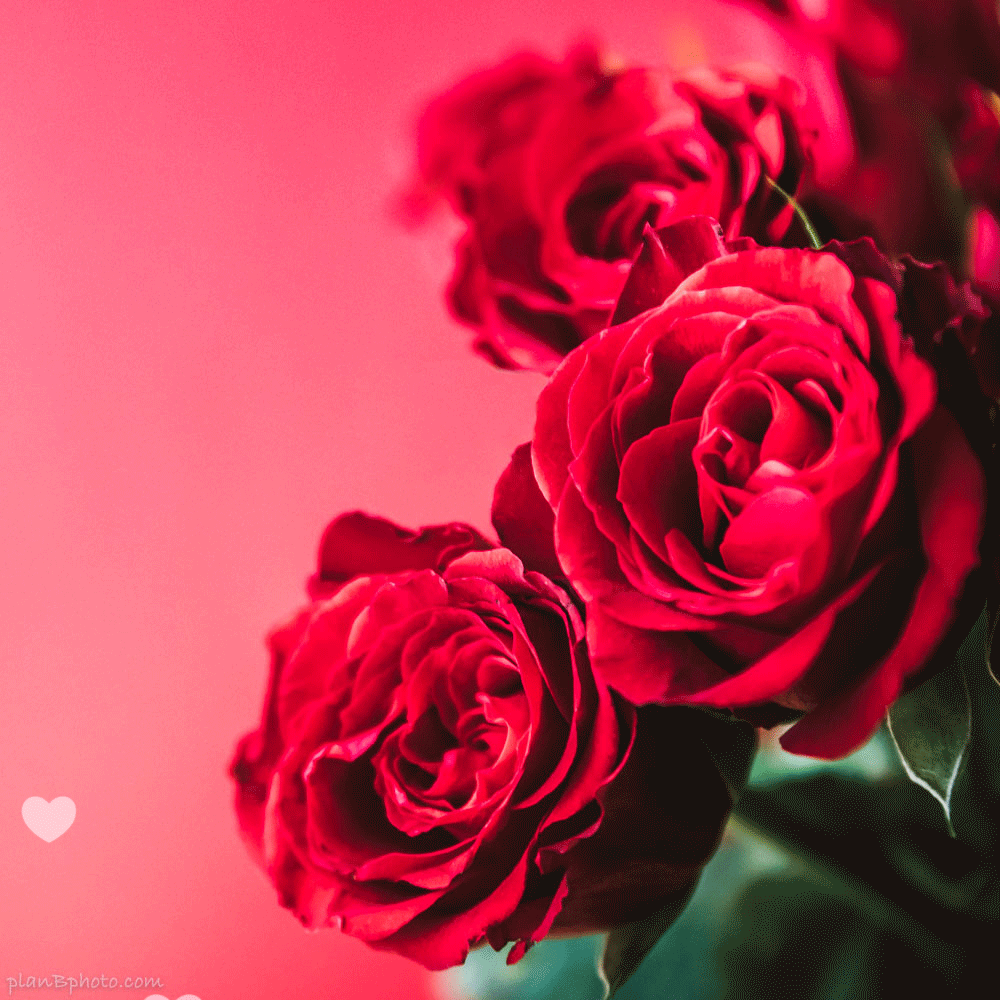 happy valentines day heart with flowers novocom top damask wedding clip art medium