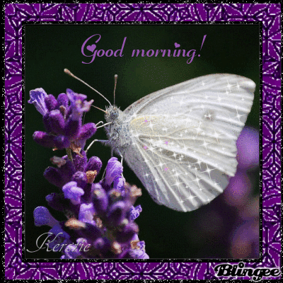 good morning animated picture codes and downloads 122022758 medium