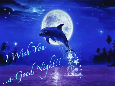 dolfijn good night sweet deams pinterest medium