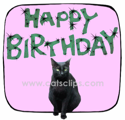 glitter birthday cat ecard medium