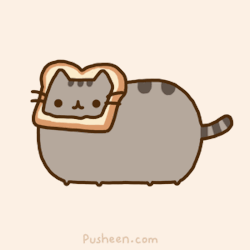 pusheen the cat cat breading medium