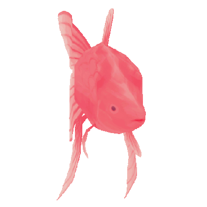 transparent fish gif medium