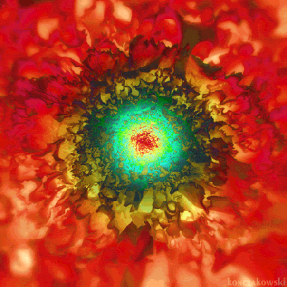 gif loop psychedelic flower animated gif on gifer by magerunner medium