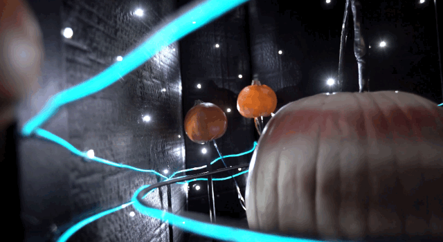 mantis society study center create a halloween pumpkin medium