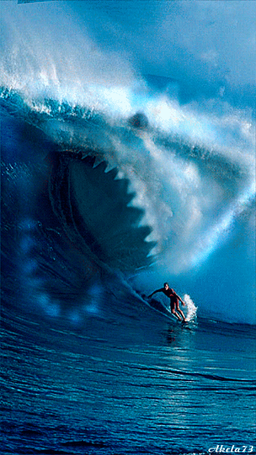 gif paul meulman google extreme sports pinterest shark medium