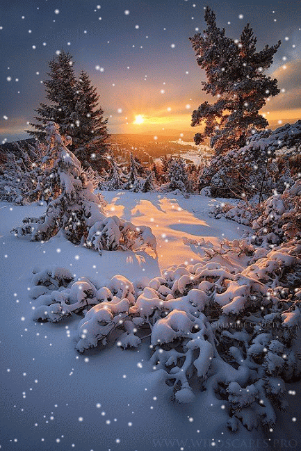 alpine sunset snow animation winter pinterest animation snow medium