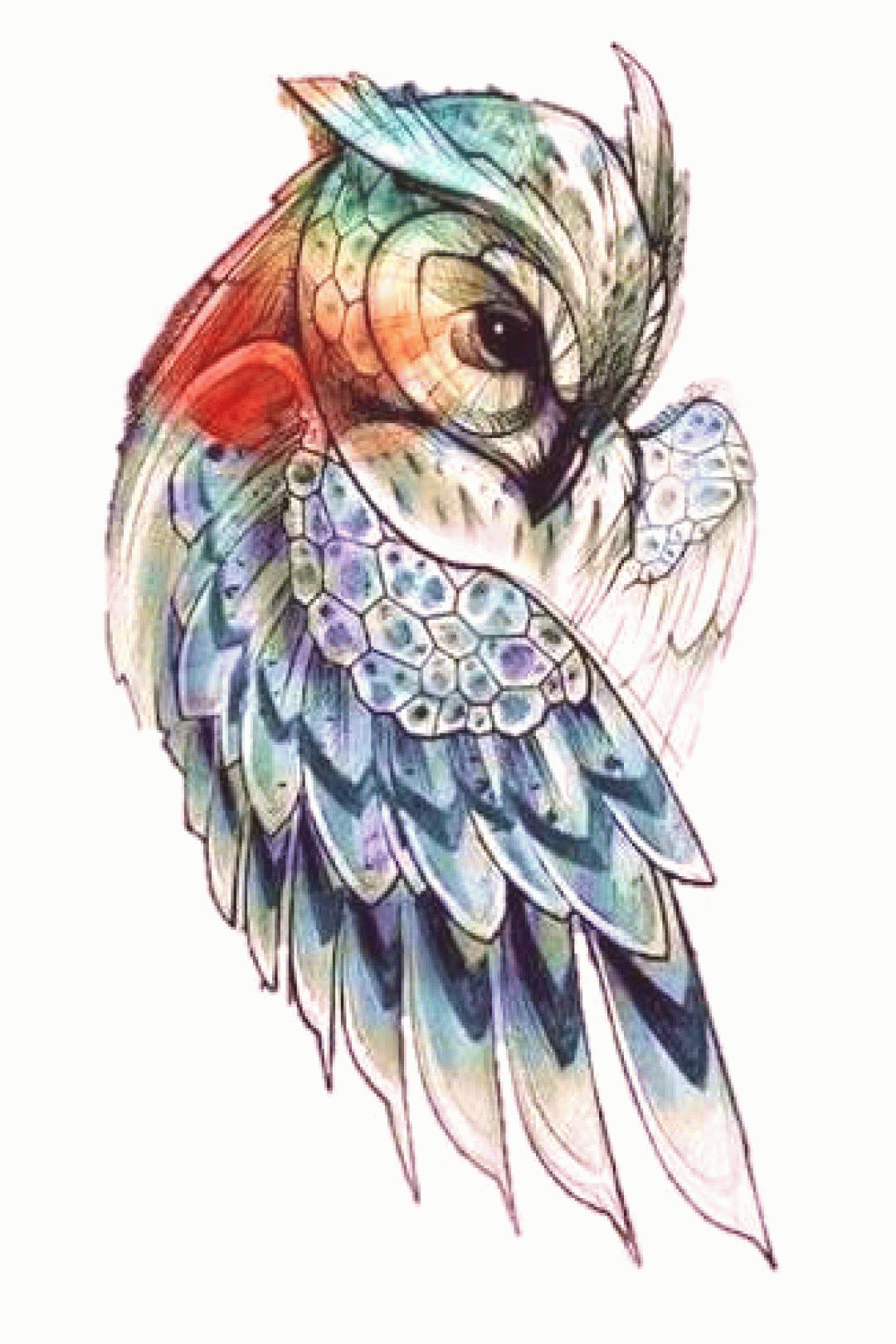 chouette graphique in 2020 owl tattoo owl tattoo design medium