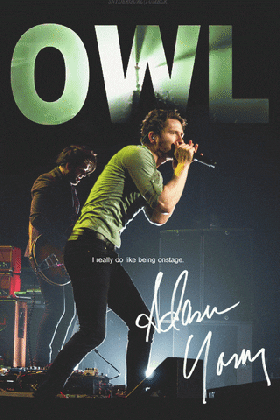 owl city gif find share on giphy medium