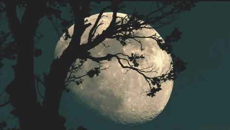 scary gif black and white moon night monster darkness cool gif cool medium