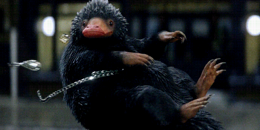 i couldn t resist gif this part explore tumblr posts and blogs tumgir clapping monkey medium