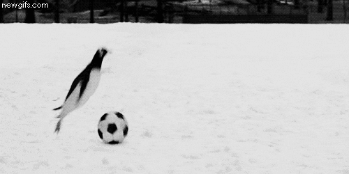 soccer winter gif find share on giphy medium