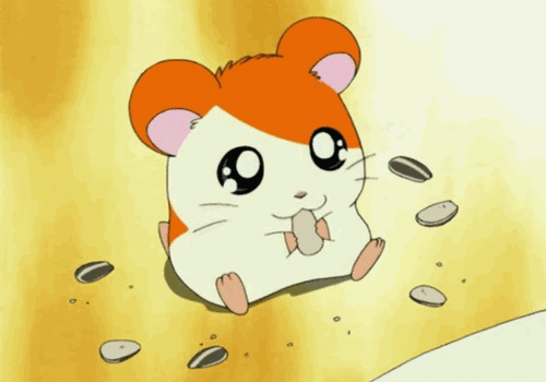 oblivion hamster gif wifflegif medium